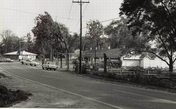 Whitmore Lake From Jim Bonkowski (newer photo)
